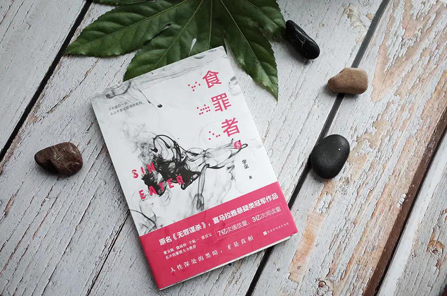 红衣女孩悬疑事件_丁潜