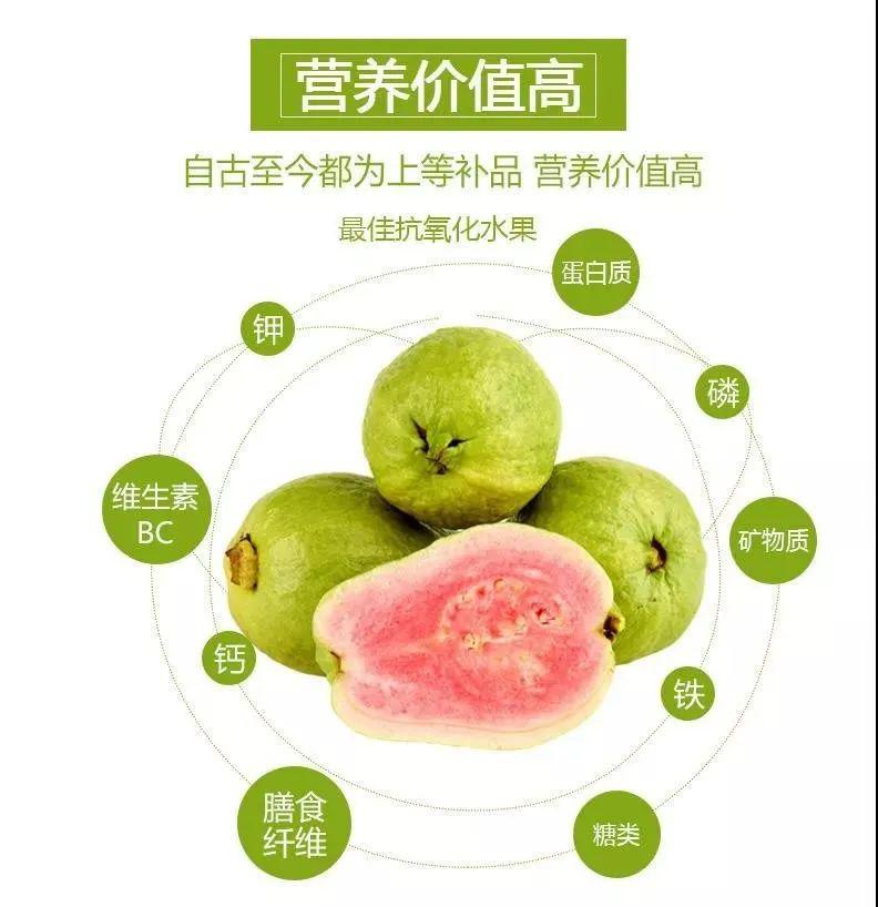 现摘现发一口就上瘾的红颜芭乐清肠解油腻低热量高vc减肥必备