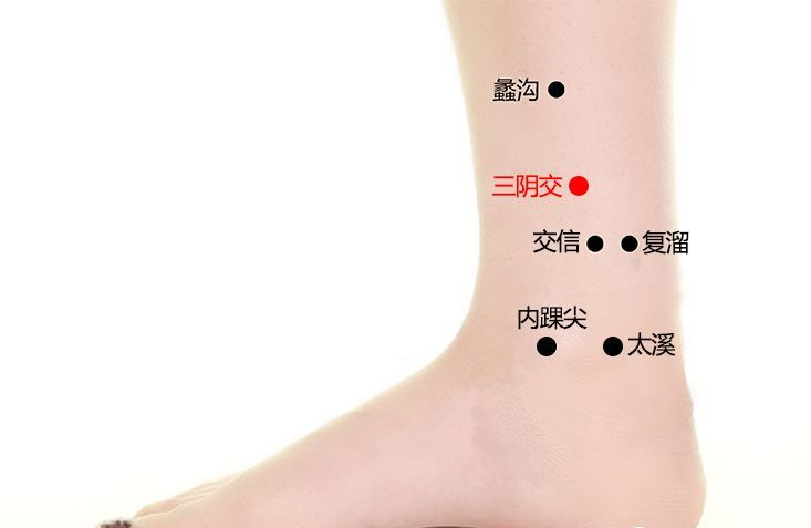 " 坐骨刺环跳 "环跳穴在人的背面(臀部),在这个地方,现在坐骨指的是