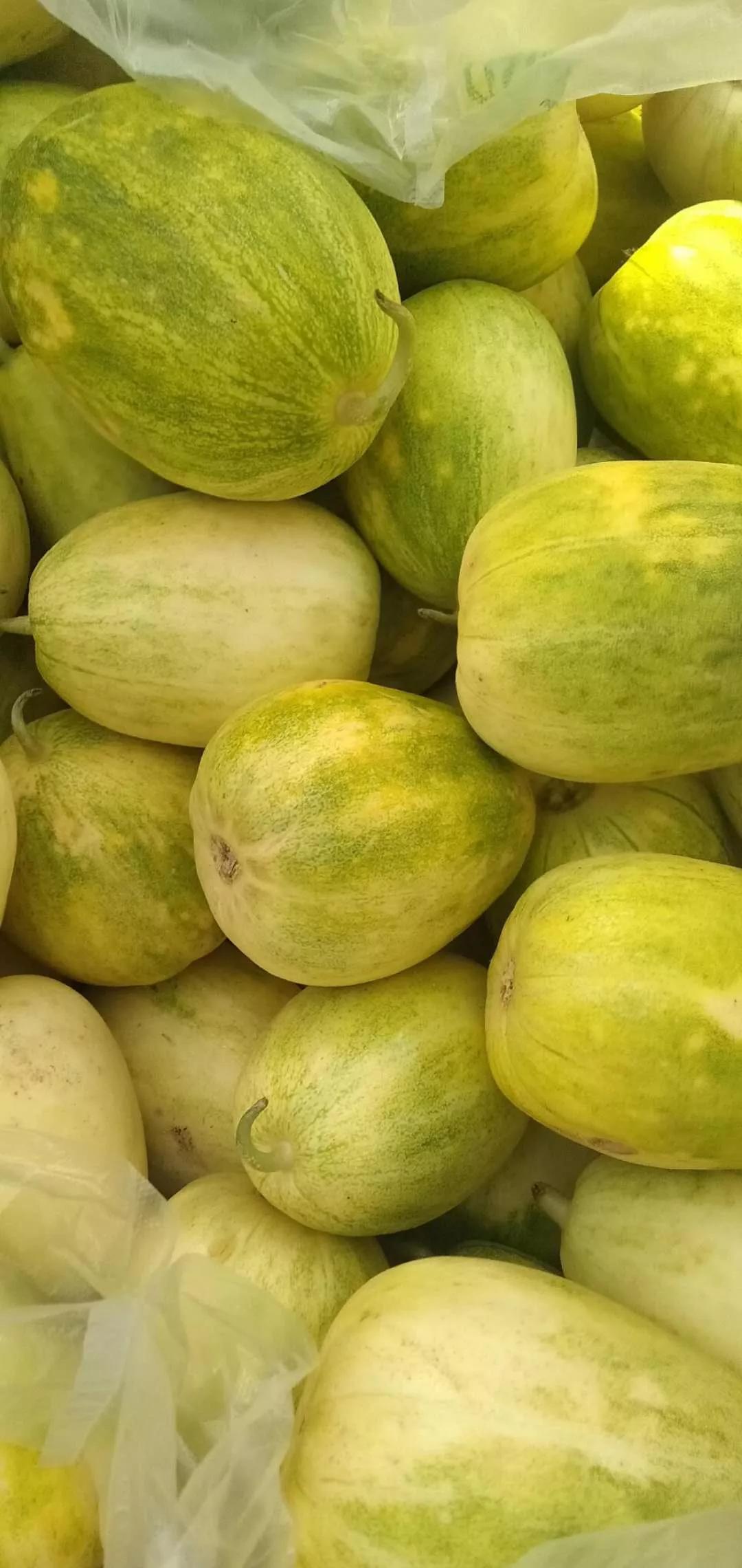 宁夏春季采摘攻略来啦草莓杏子油桃香瓜一箩筐周末赶紧约起来