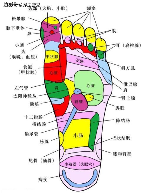 脚底减肥的准确位置图图片