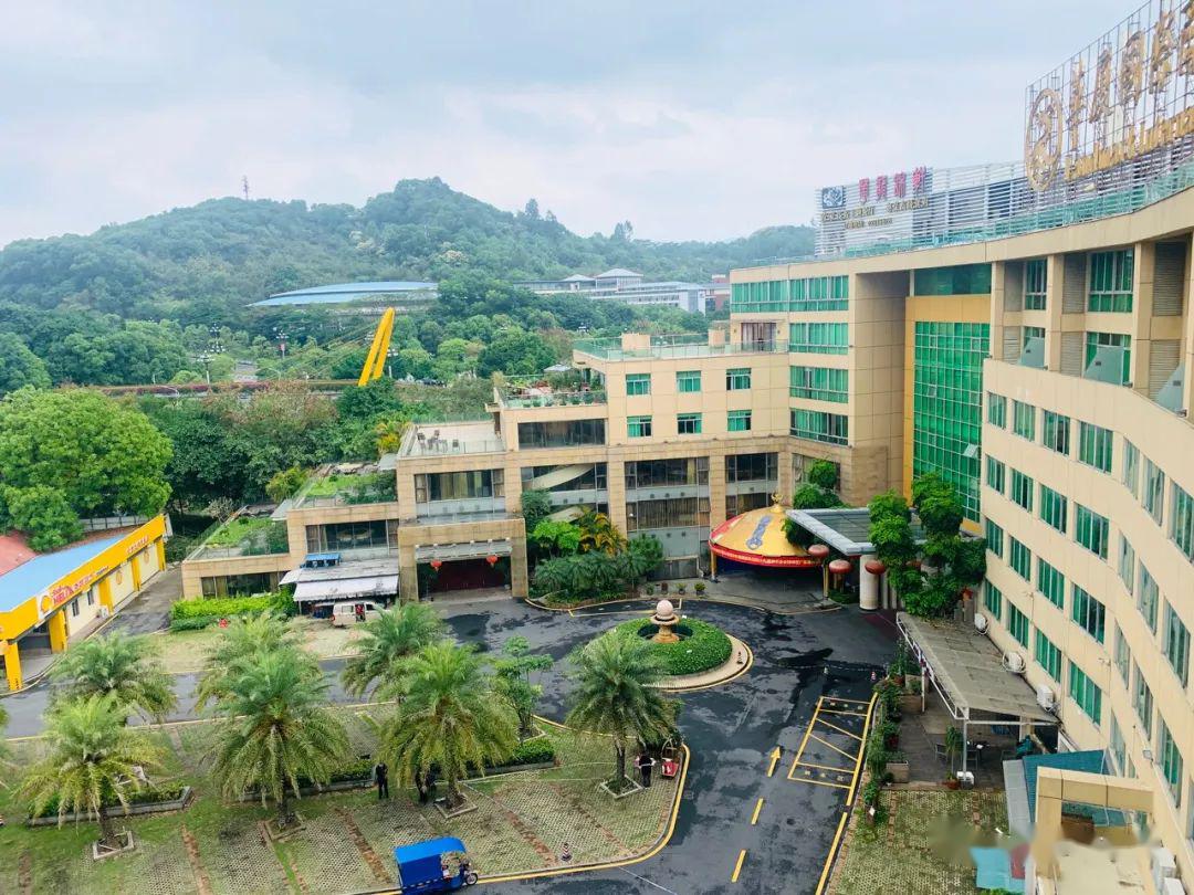 回忆满满的小确幸!​广州隔离纪事