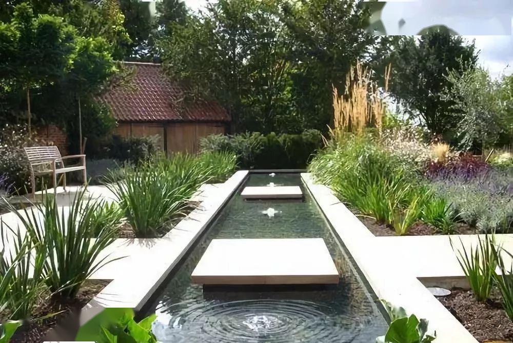 庭院自建小型荷花池图片