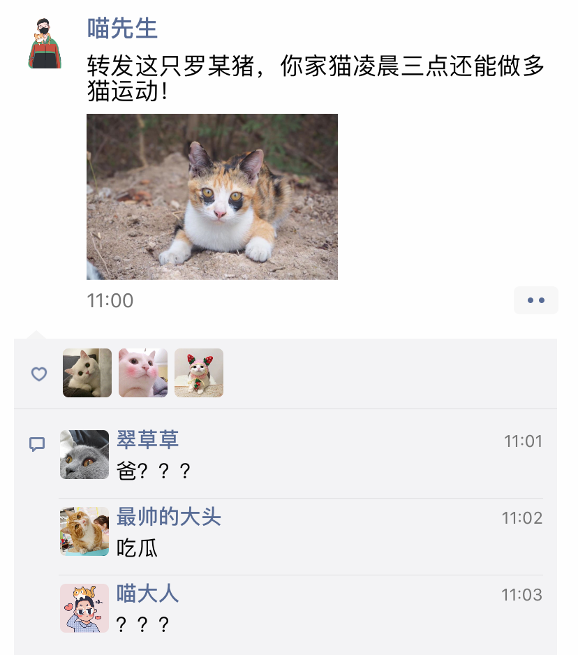 养猫人的黑眼圈，都是猫半夜不睡觉蹦迪蹦出来的！