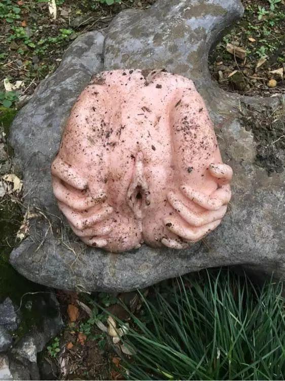 这些年钓上来的奇葩物图19至今不知道是什么