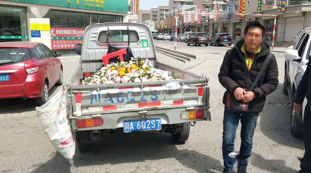 川a6q2s7宁a110h5蒙md0080蒙m5de88蒙m98477蒙md6590陕jb4362蒙cb1111