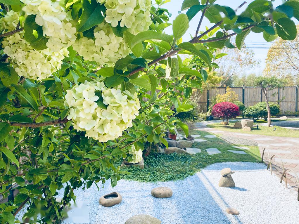 花三兩枝民宿掩映在一片生機青綠的林木下也山(排名不分先後)崇明民宿