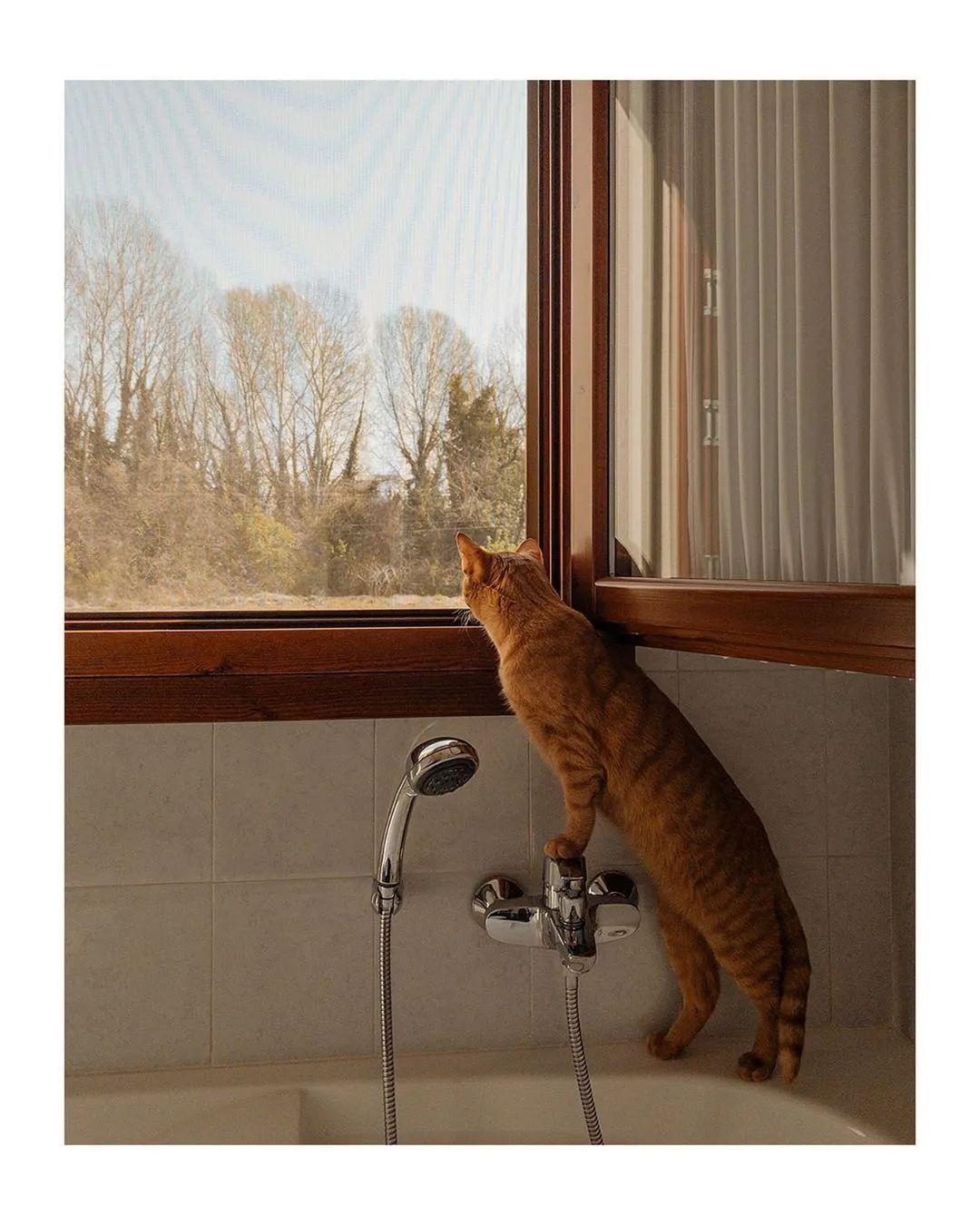 看似平平无奇的摄影却蕴含了生活中的小趣味看着很舒服