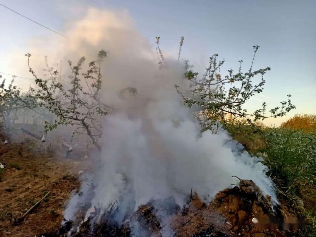三岔镇冻前全力预防冻后积极减灾