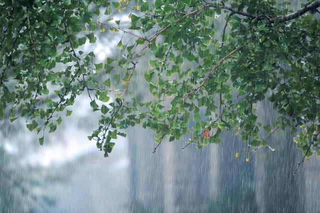 下雨的图片景色大图图片