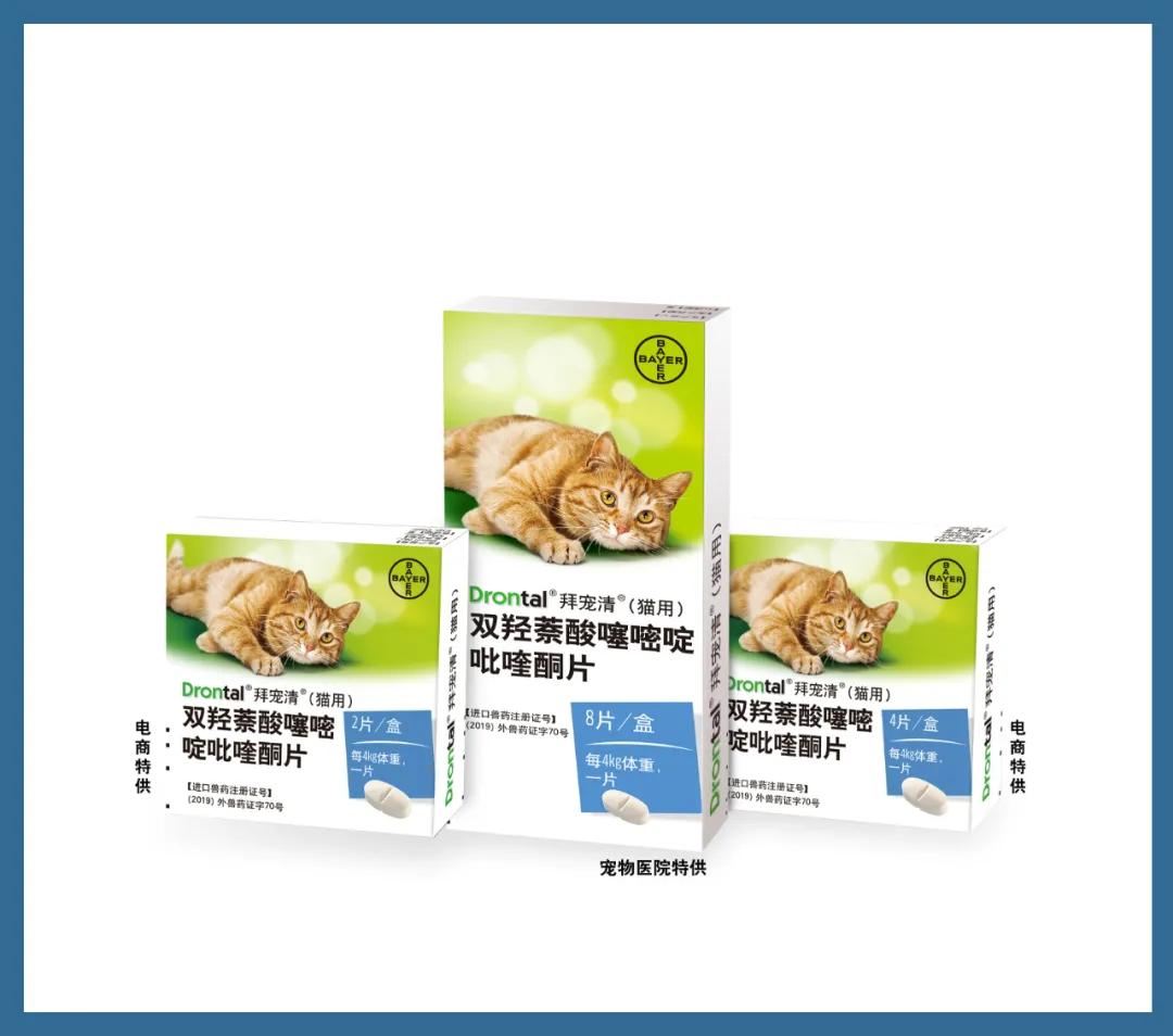 拜宠清猫用体内驱虫药中国版正式发布,不要再买假货了!