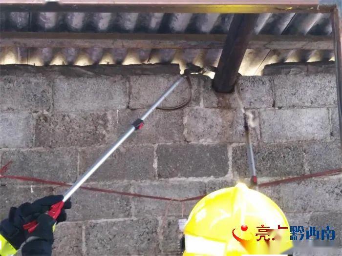 黔西南一居民家厨房惊现四条蛇 吓坏做饭女主人!