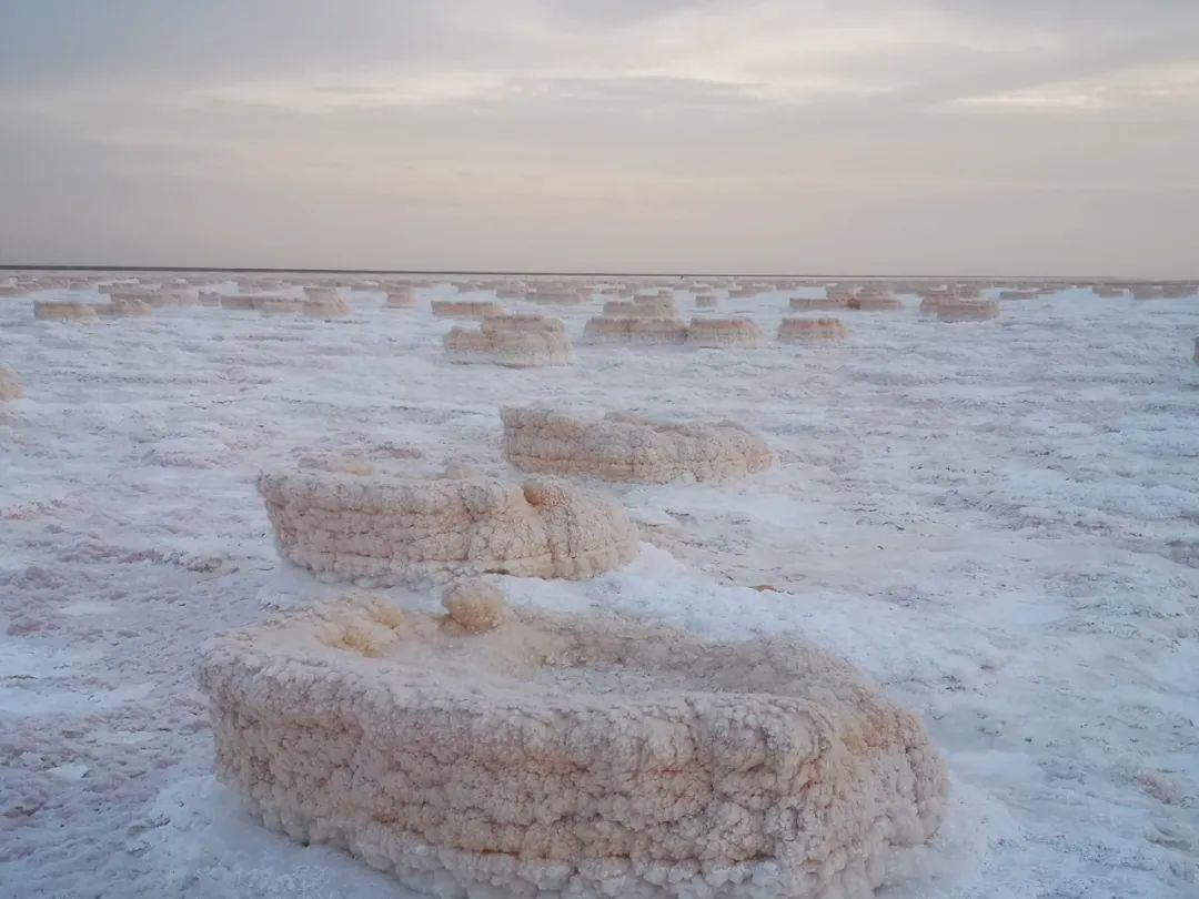 罗布泊晒盐池巨型盐花科学家给出了答案,在湖水消退初期,地下水位较