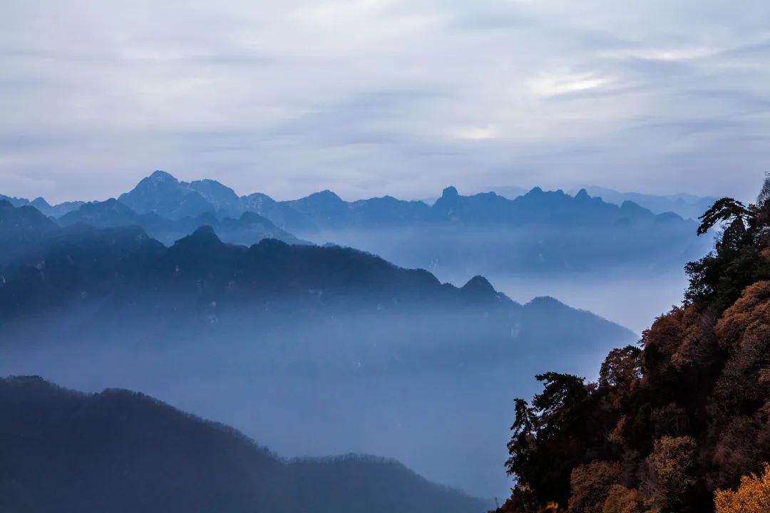 贾平凹这就是秦岭最中国的山