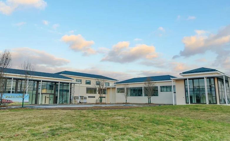 抢鲜采桑葚喂小羊品美食崇明这个开心农场给你想要的田园梦