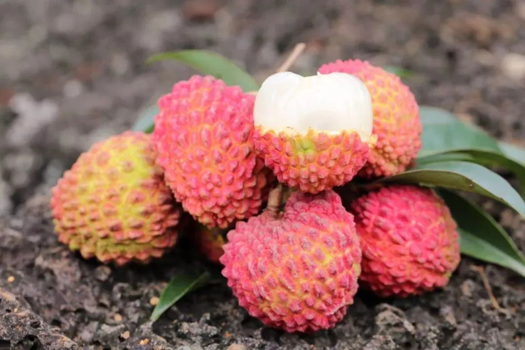 海口火山荔枝抢鲜登场超甜超多汁