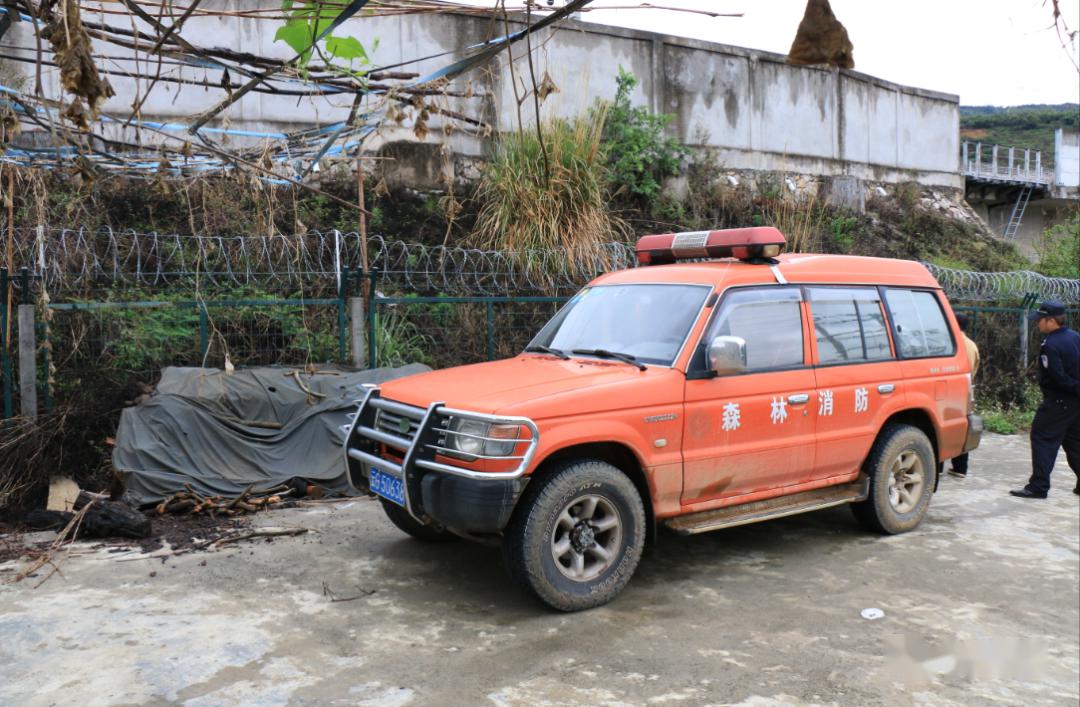 当心蛇出没蒙自森林公安7天内在居民区抓了13条蛇