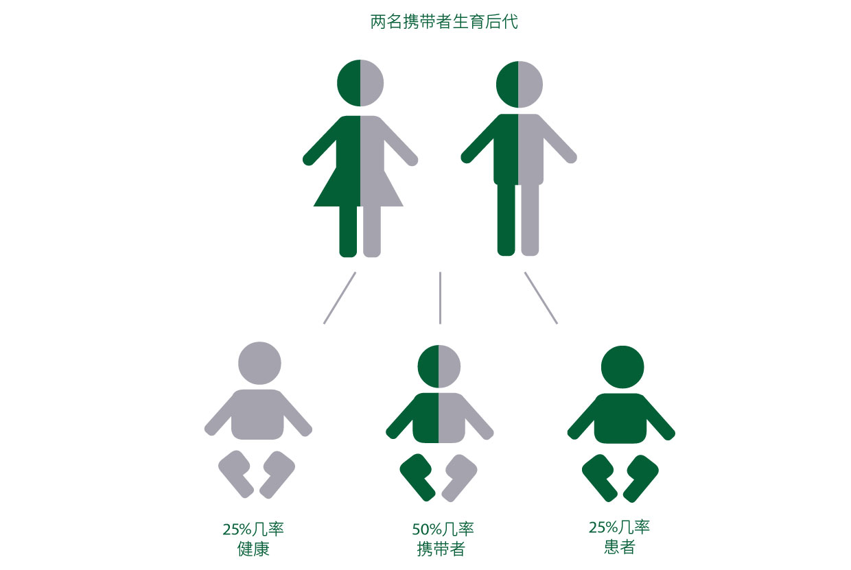 sma攜帶者篩查預防新生兒出生缺陷