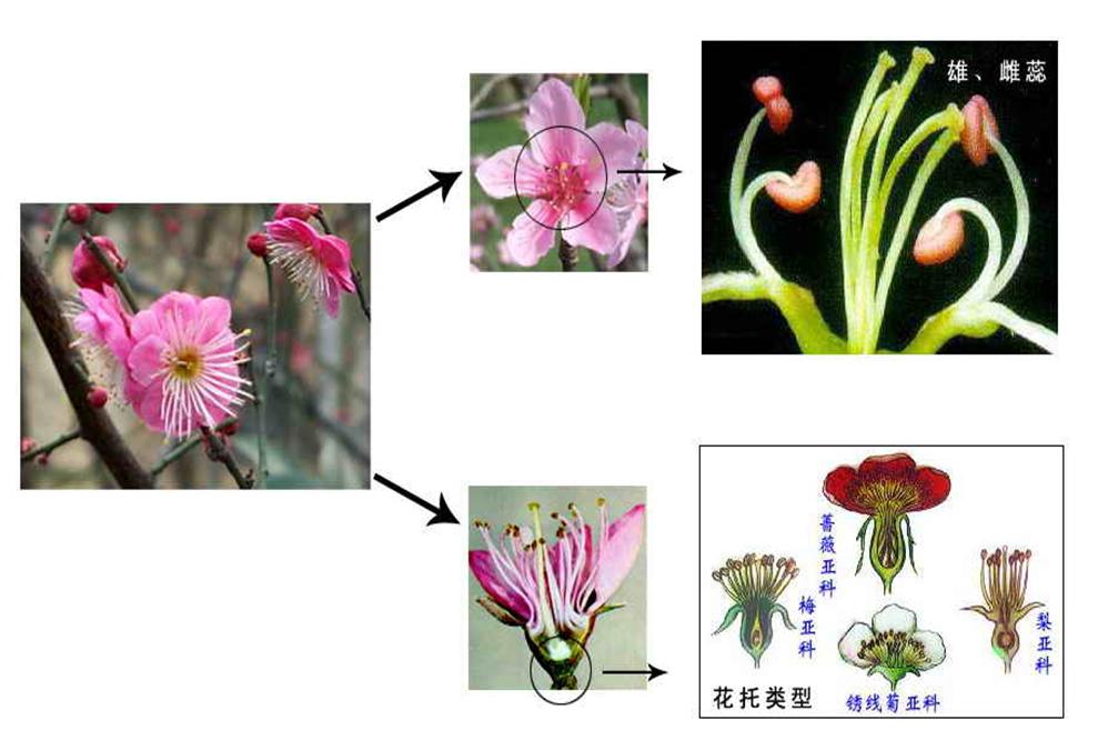线上教学我最美生态环境工程分院线上教学案例展20