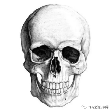 人物素描第一课头部头骨头部肌肉人物课学习方向如何学起