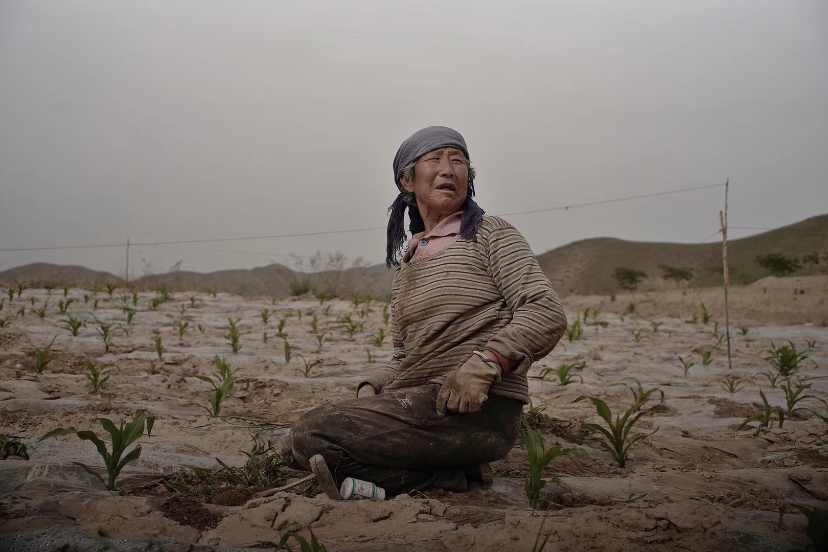 但只要土地没有丧失,他们就不会感到真正的孤独和焦虑 抡皮鞭这