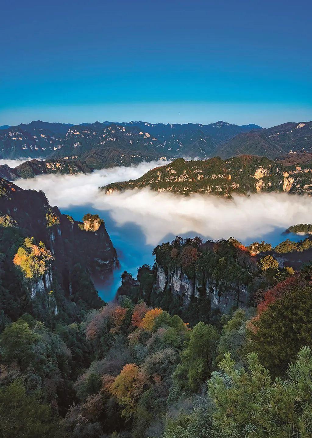 视觉影像 | "山水画廊·秀美巴中"光雾山摄影大展作品(三)