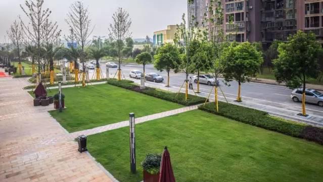 全国醉美的房地产项目示范区包含售楼处美到没朋友