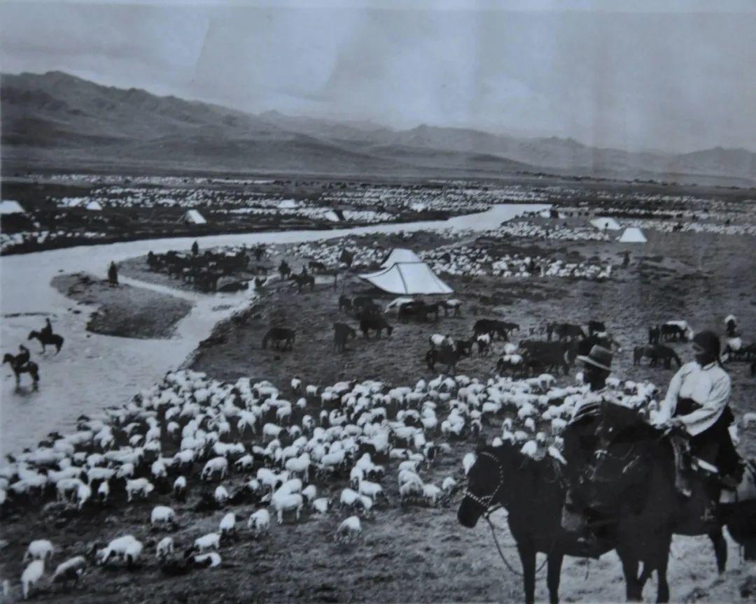 口述核史丨1958年,青海牧民大搬迁,和你我有关