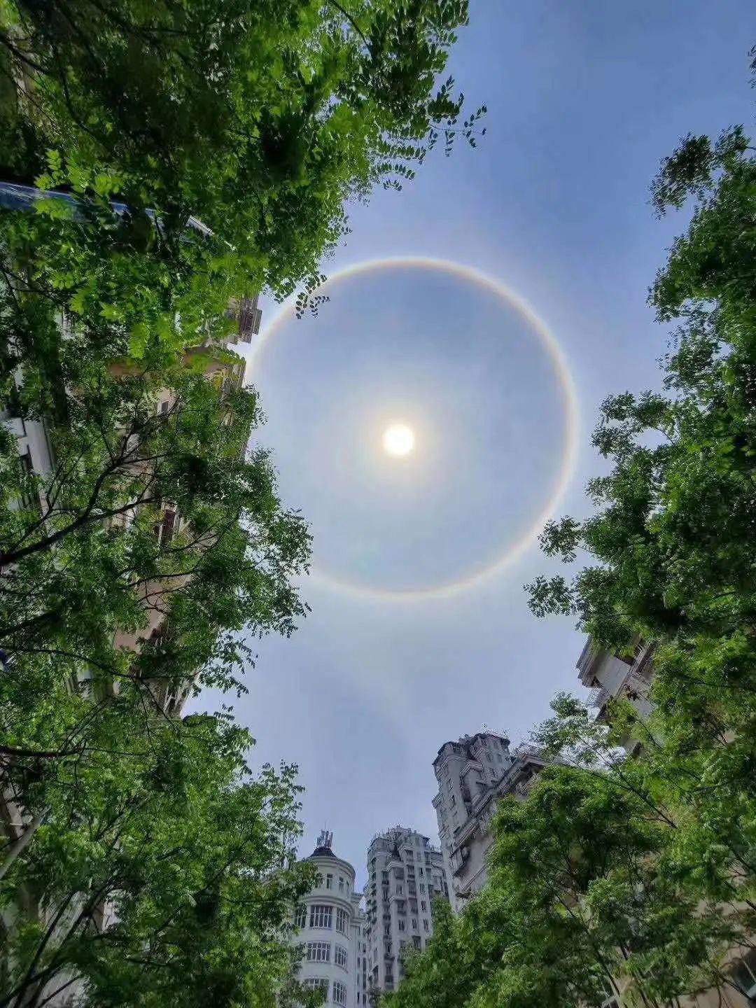 青田上空的日晕你看到了吗?