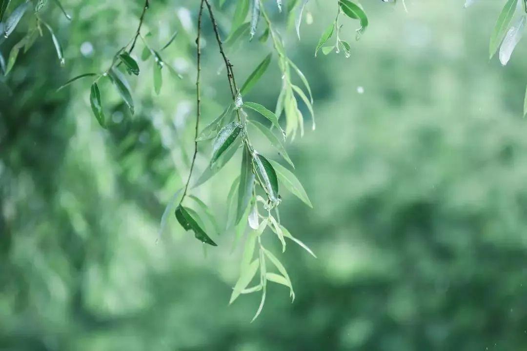 座臨其間,臨溪聽風,感受大自然的愛撫與祝福