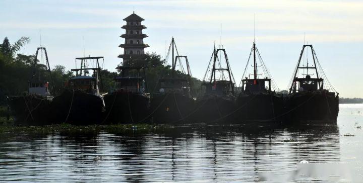 廉江这个镇上榜中国特色小城镇品牌百强!_安铺镇