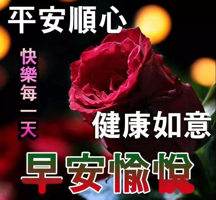 特漂亮的早上问候表情图片唯美温馨适合早上群发的早上好问候语录最新