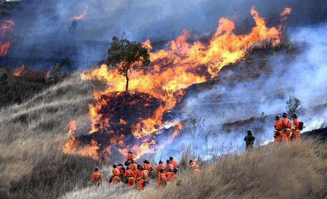 专门约谈四川省,凉山州人民政府负责人,指出四川省,凉山州存在对森林