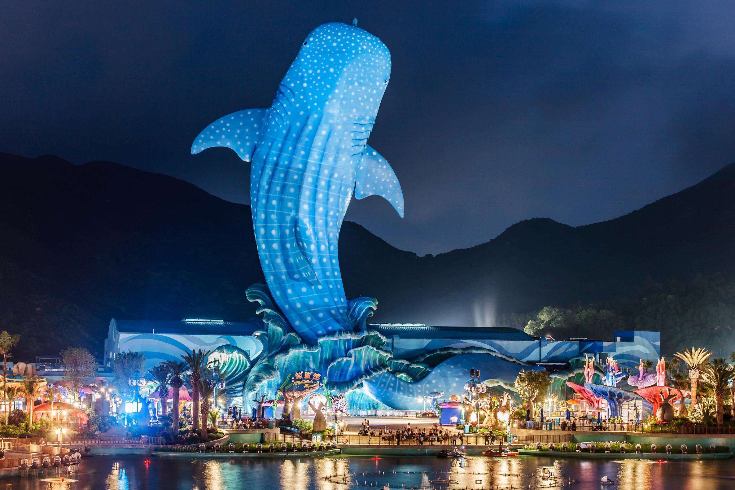 世界级游乐园,海洋与激情结为一体的佛山团建