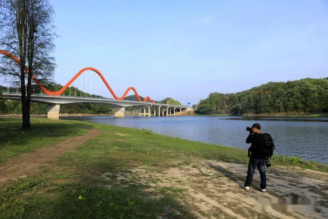 舒城龙津桥图片