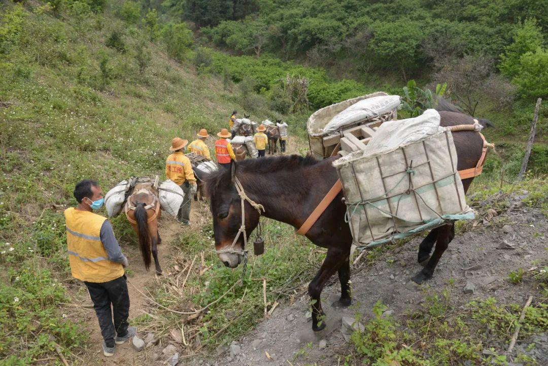 实拍广西深山马帮看他们如何实现马上富