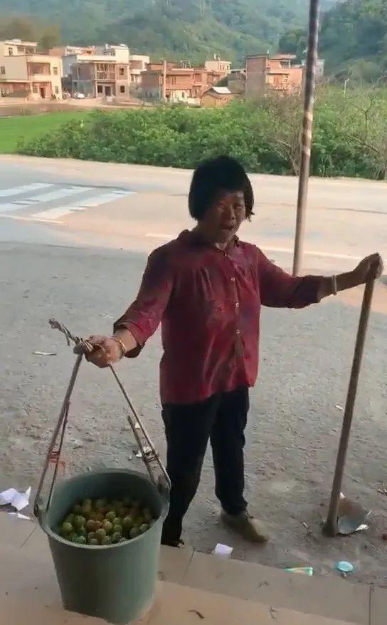 尿桶李紫金这位阿姨火了全村李子一下子卖光