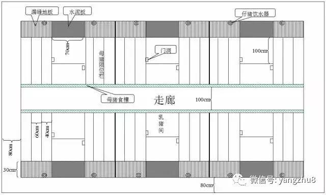 圖文豬舍佈局設計圖細節尺寸圖紙豬場建設改造必備