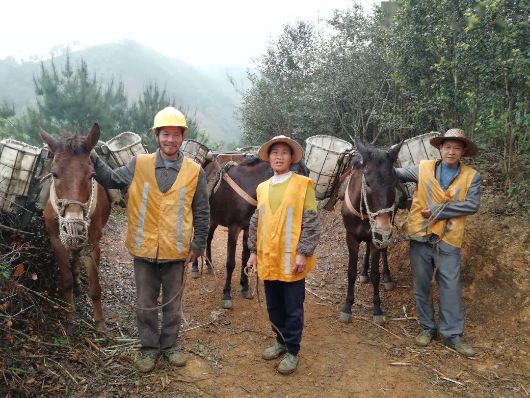 实拍广西深山马帮看他们如何实现马上富