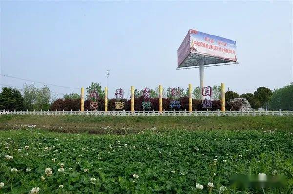 2020盐都台创园第二届兰花展图集