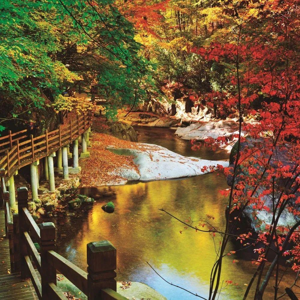 视觉影像 | "山水画廊·秀美巴中"光雾山摄影大展作品(三)