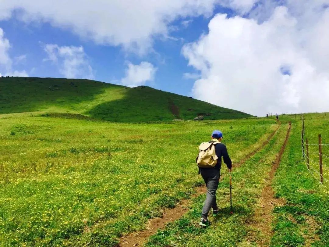 潮玩春意正浓踏青游玩欢乐多