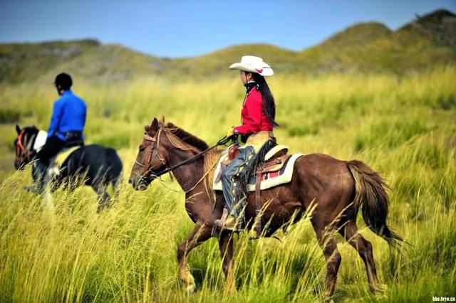 到草原骑马可以说是首选,在广阔的草原上,策马扬鞭驰骋,充分感受风驰