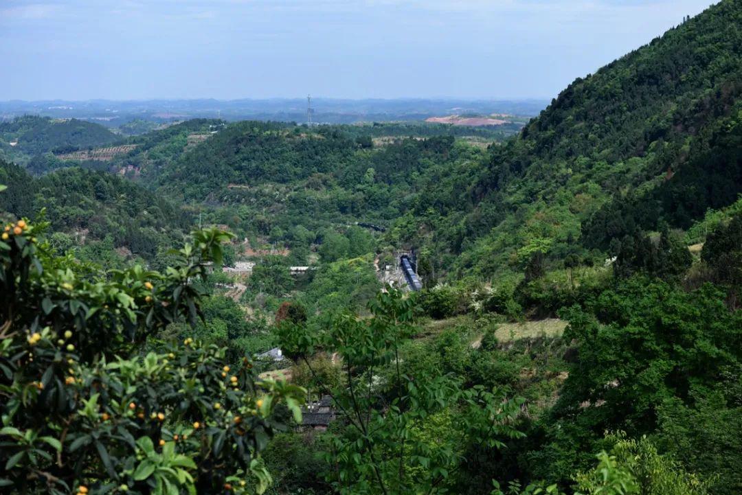 在陈家湾站南福洪黎明村一处山谷中,现有始建于