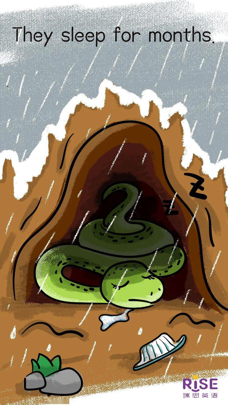 冬眠的蛇卡通图片图片