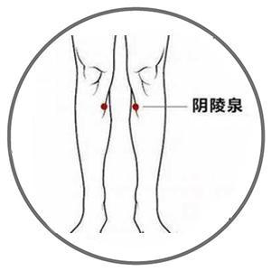 阴陵泉穴:健脾化湿身体有2个"祛湿口",一个化湿,一个排湿若有以上特征
