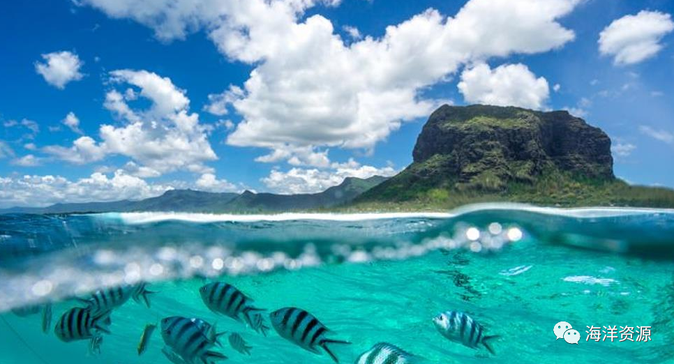 浅谈十四五海洋生态环境保护规划