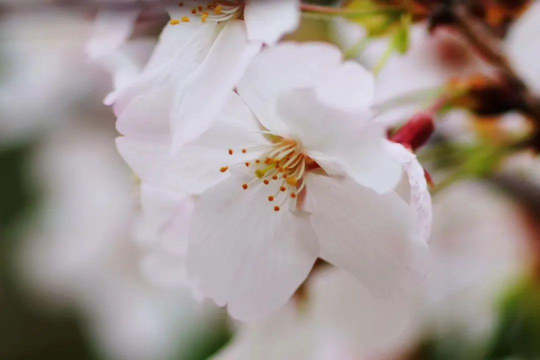 朵朵浪花,終歸波平.淡然若水,淺笑歲月.陌上回眸,時光無涯.