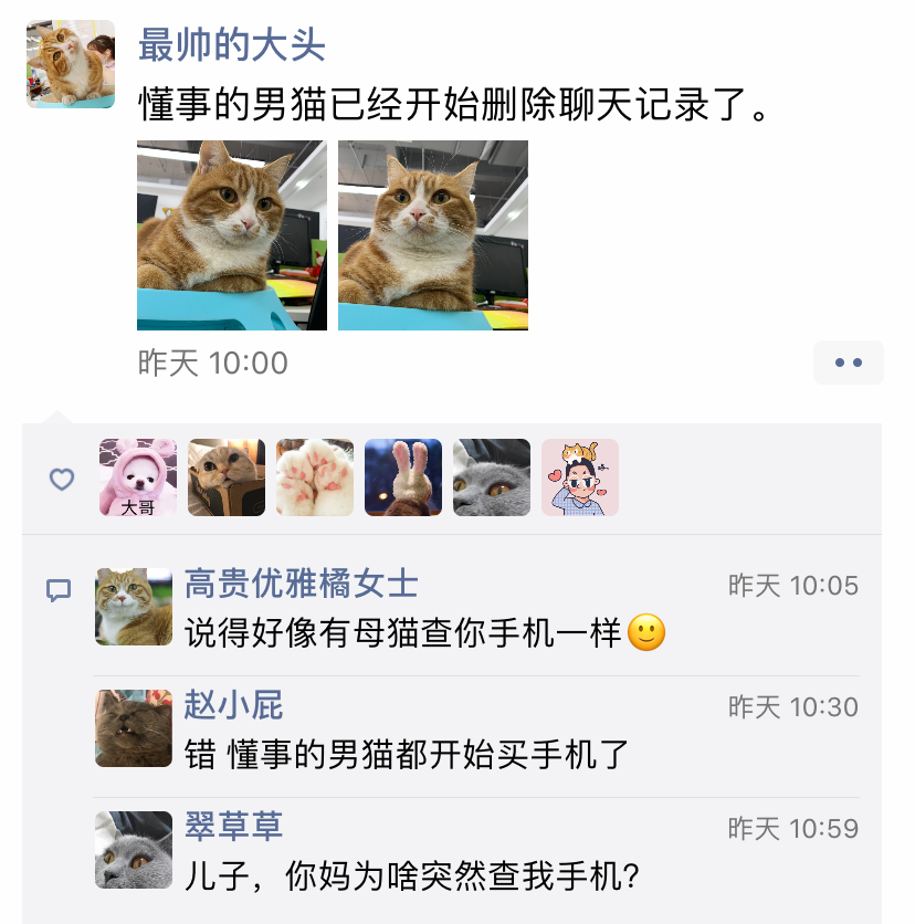 养猫人的黑眼圈，都是猫半夜不睡觉蹦迪蹦出来的！