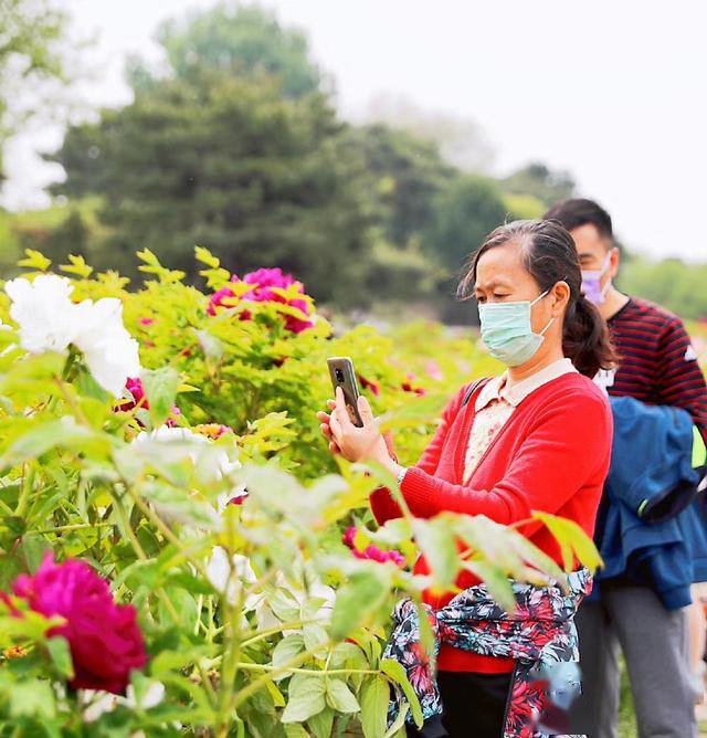 生活在全国唯一高风险地区的"朝阳群众"(图)_疫情